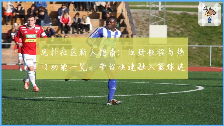 虎扑社区新人指南：注册教程与热门功能一览，带你快速融入篮球迷互动圈