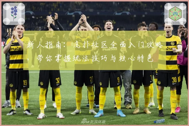 新人指南：虎扑社区全面入门攻略，带你掌握玩法技巧与核心特色